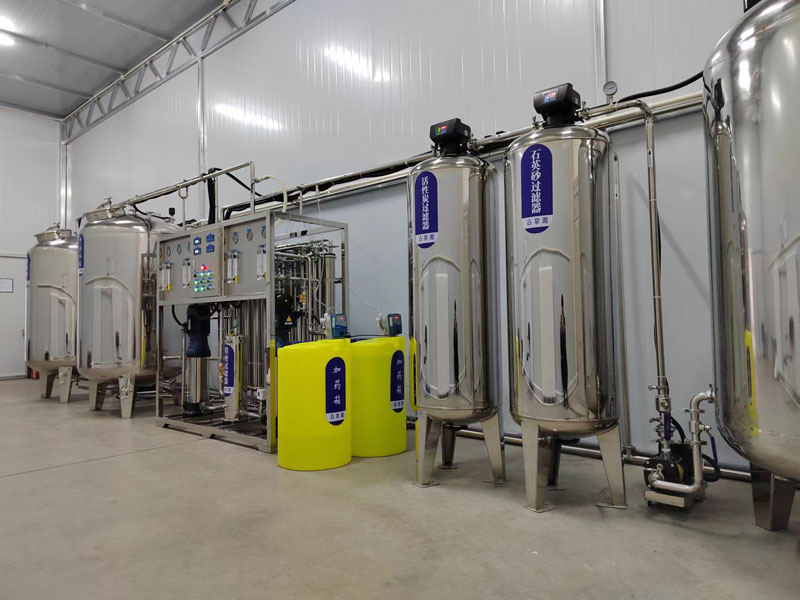 煙廠1噸無(wú)菌雙級(jí)反滲透