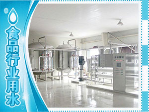 食品廠(chǎng)、水廠(chǎng)生產(chǎn)用水系列